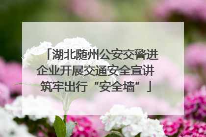 湖北随州公安交警进企业开展交通安全宣讲筑牢出行“安全墙”
