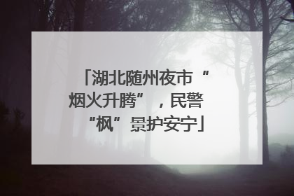 湖北随州夜市“烟火升腾”，民警“枫”景护安宁