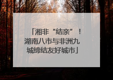 湘非“结亲”！湖南八市与非洲九城缔结友好城市