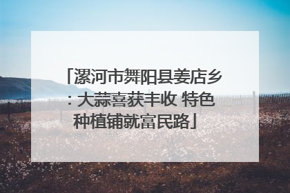 漯河市舞阳县姜店乡：大蒜喜获丰收 特色种植铺就富民路