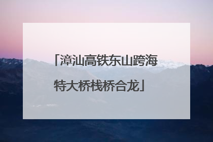 漳汕高铁东山跨海特大桥栈桥合龙
