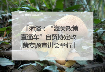 菏泽：“海关政策直通车”自贸协定政策专题宣讲会举行