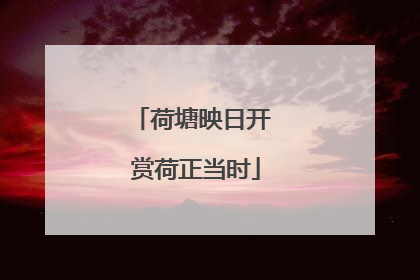荷塘映日开 赏荷正当时