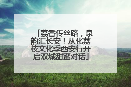 荔香传丝路，泉韵汇长安！从化荔枝文化季西安行开启双城甜蜜对话
