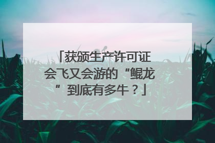 获颁生产许可证 会飞又会游的“鲲龙”到底有多牛？