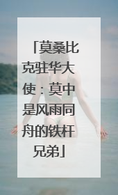 莫桑比克驻华大使：莫中是风雨同舟的铁杆兄弟