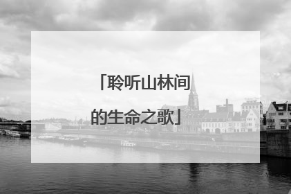 聆听山林间的生命之歌