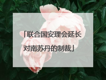 联合国安理会延长对南苏丹的制裁