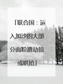 联合国：运入加沙的大部分面粉遭劫掠或哄抢