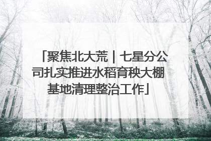 聚焦北大荒｜七星分公司扎实推进水稻育秧大棚基地清理整治工作
