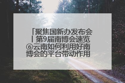 聚焦国新办发布会丨第9届南博会速览⑥云南如何利用好南博会的平台带动作用，深化与南亚国家的交流与合作？