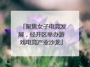 聚焦女子电竞发展，经开区举办游戏电竞产业沙龙