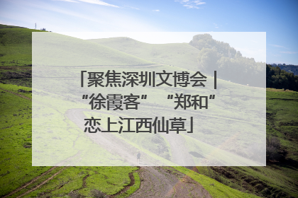 聚焦深圳文博会｜“徐霞客”“郑和”恋上江西仙草