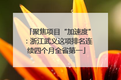 聚焦项目“加速度”：浙江武义这项排名连续四个月全省第一