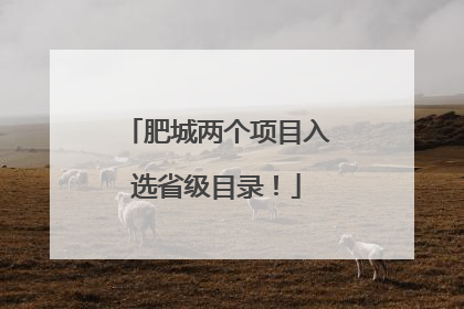 肥城两个项目入选省级目录！