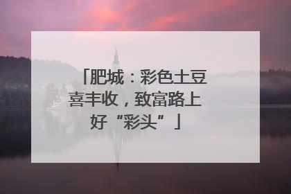 肥城：彩色土豆喜丰收，致富路上好“彩头”