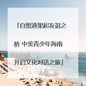 自贸港架起友谊之桥 中美青少年海南开启文化对话之旅