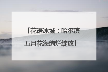 花语冰城：哈尔滨五月花海绚烂绽放