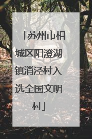 苏州市相城区阳澄湖镇消泾村入选全国文明村