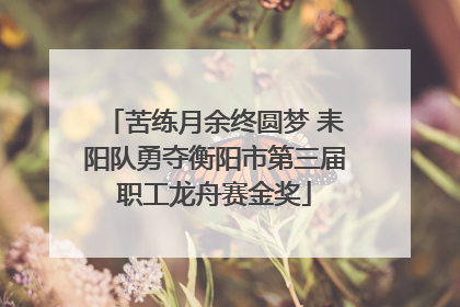 苦练月余终圆梦 耒阳队勇夺衡阳市第三届职工龙舟赛金奖