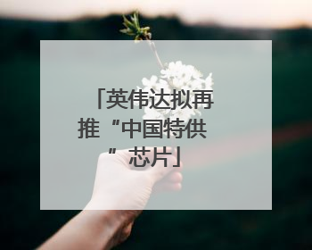 英伟达拟再推“中国特供”芯片