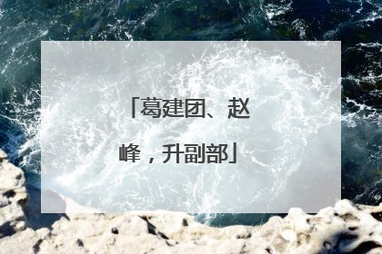 葛建团、赵峰，升副部