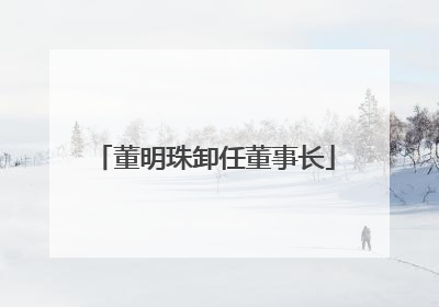 董明珠卸任董事长