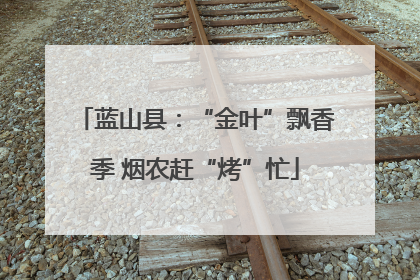 蓝山县：“金叶”飘香季 烟农赶“烤”忙