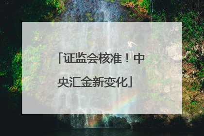 证监会核准！中央汇金新变化