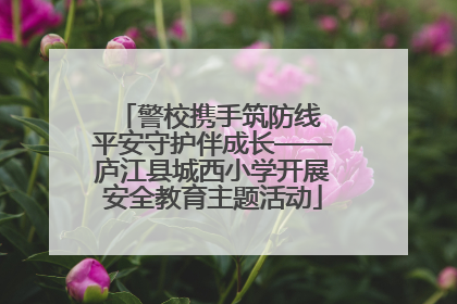 警校携手筑防线 平安守护伴成长——庐江县城西小学开展安全教育主题活动