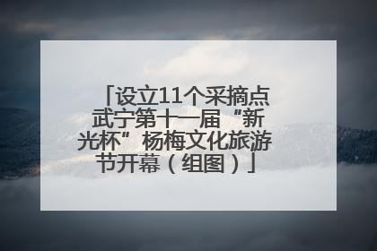 设立11个采摘点 武宁第十一届“新光杯”杨梅文化旅游节开幕（组图）