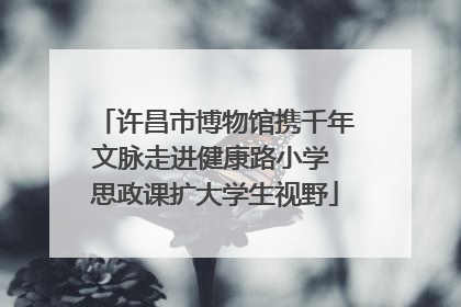 许昌市博物馆携千年文脉走进健康路小学 思政课扩大学生视野