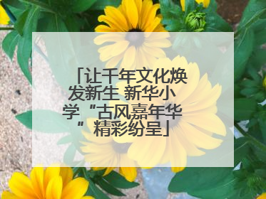 让千年文化焕发新生 新华小学“古风嘉年华”精彩纷呈