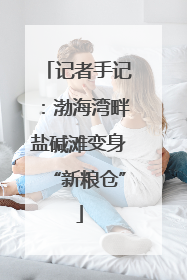 记者手记：渤海湾畔盐碱滩变身“新粮仓”