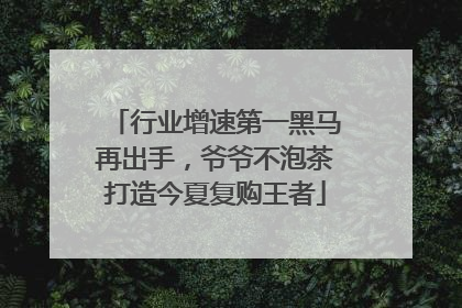 行业增速第一黑马再出手，爷爷不泡茶打造今夏复购王者