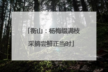 衡山：杨梅缀满枝 采摘尝鲜正当时