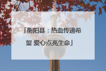 衡阳县：热血传递希望 爱心点亮生命