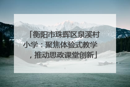 衡阳市珠晖区泉溪村小学：聚焦体验式教学，推动思政课堂创新