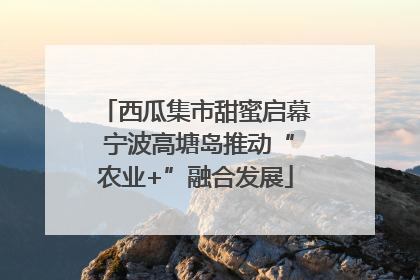 西瓜集市甜蜜启幕 宁波高塘岛推动“农业+”融合发展