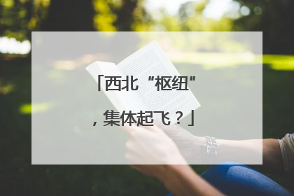 西北“枢纽”，集体起飞？