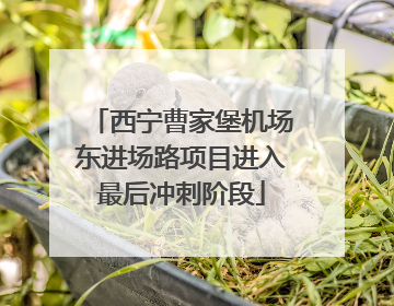 西宁曹家堡机场东进场路项目进入最后冲刺阶段