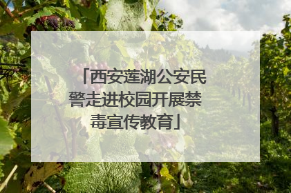 西安莲湖公安民警走进校园开展禁毒宣传教育