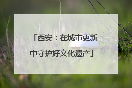 西安：在城市更新中守护好文化遗产