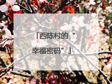 西陈村的“幸福密码”