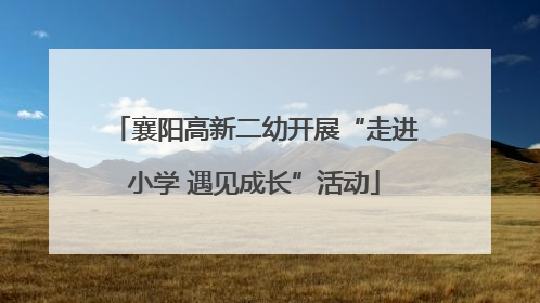 襄阳高新二幼开展“走进小学 遇见成长”活动