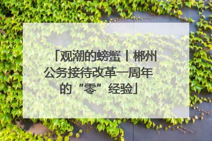 观潮的螃蟹丨郴州公务接待改革一周年的“零”经验