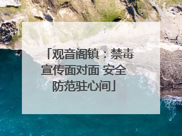 观音阁镇：禁毒宣传面对面 安全防范驻心间