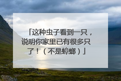 这种虫子看到一只，说明你家里已有很多只了！（不是蟑螂）