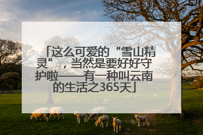 这么可爱的“雪山精灵”，当然是要好好守护啦——有一种叫云南的生活之365天