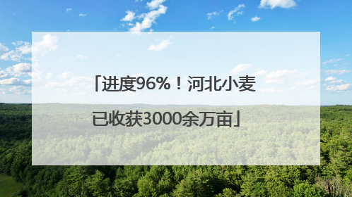 进度96%！河北小麦已收获3000余万亩